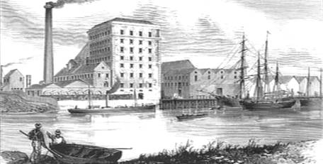 fl8.jpg (19887 bytes)